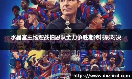 水晶宫主场迎战伯恩队全力争胜期待精彩对决