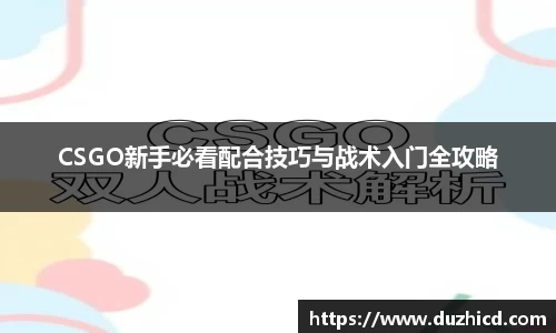 CSGO新手必看配合技巧与战术入门全攻略