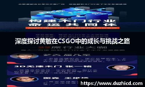 深度探讨黄敏在CSGO中的成长与挑战之路